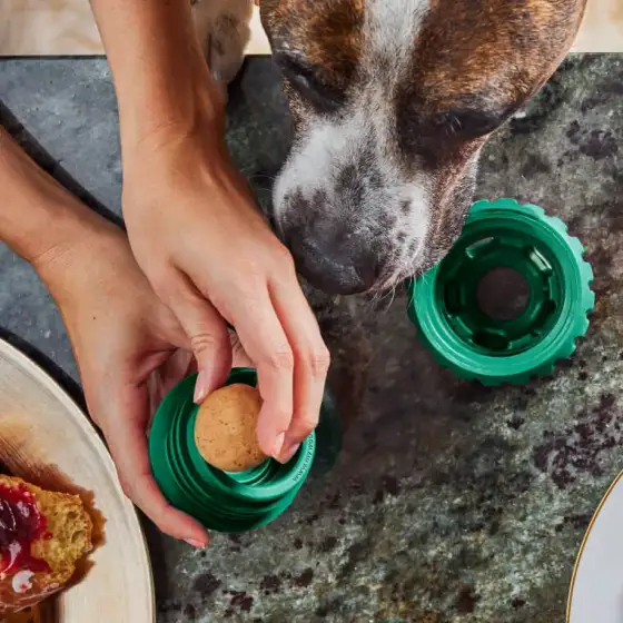 Pawpop mit Leckerli füllen